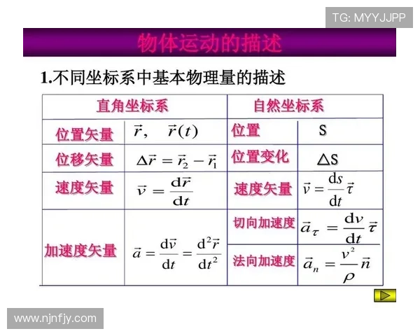 武汉排球队速度对比深度解析与战术影响探讨
